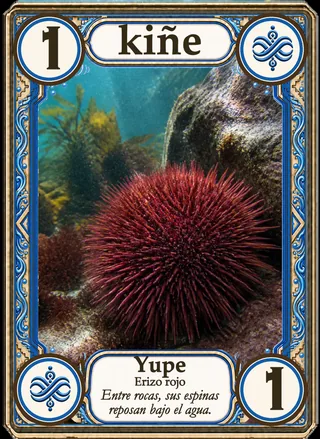 Carta Ko 1: Yupe, erizo rojo